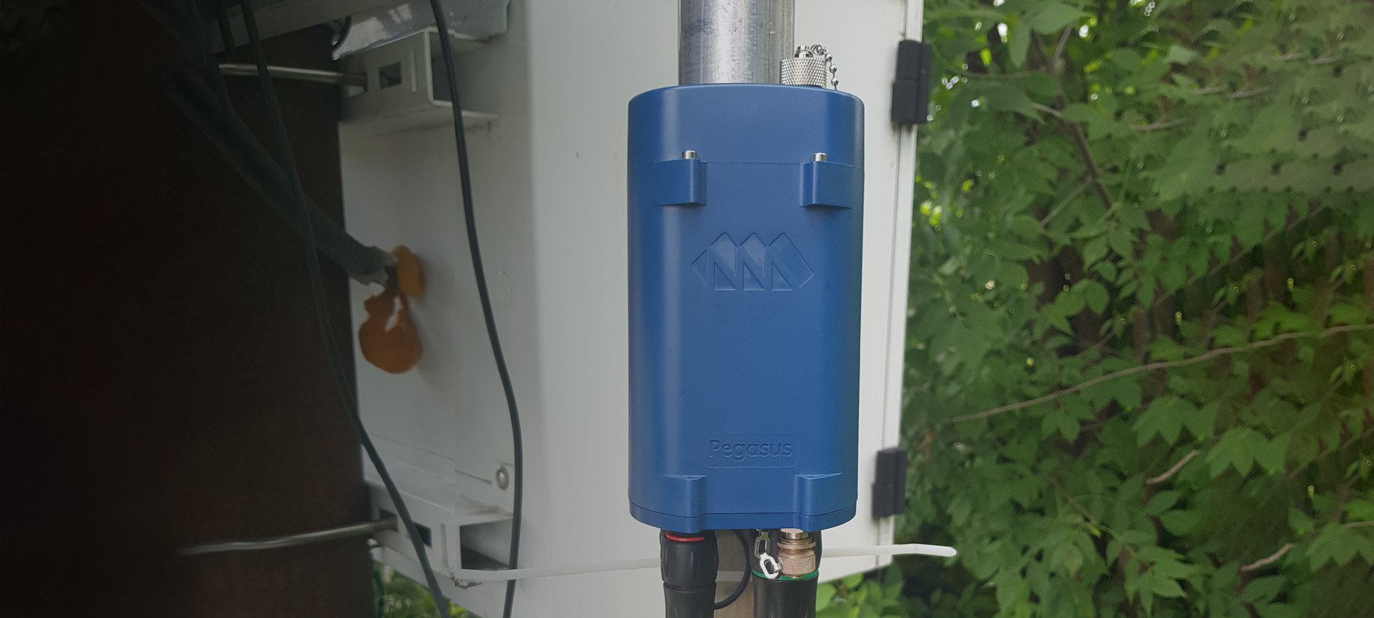 Blue Pegasis digitizer attached to a metal pole in a wooded area