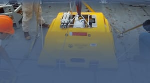 Abalones strapped down on a ships deck