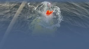 Abalones splashing into the water in a free fall