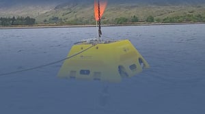 Abalones on a chain being hauled out of the water